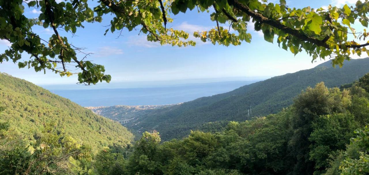Appartamento Ai Piedi Della Pigna Sanremo Exterior foto